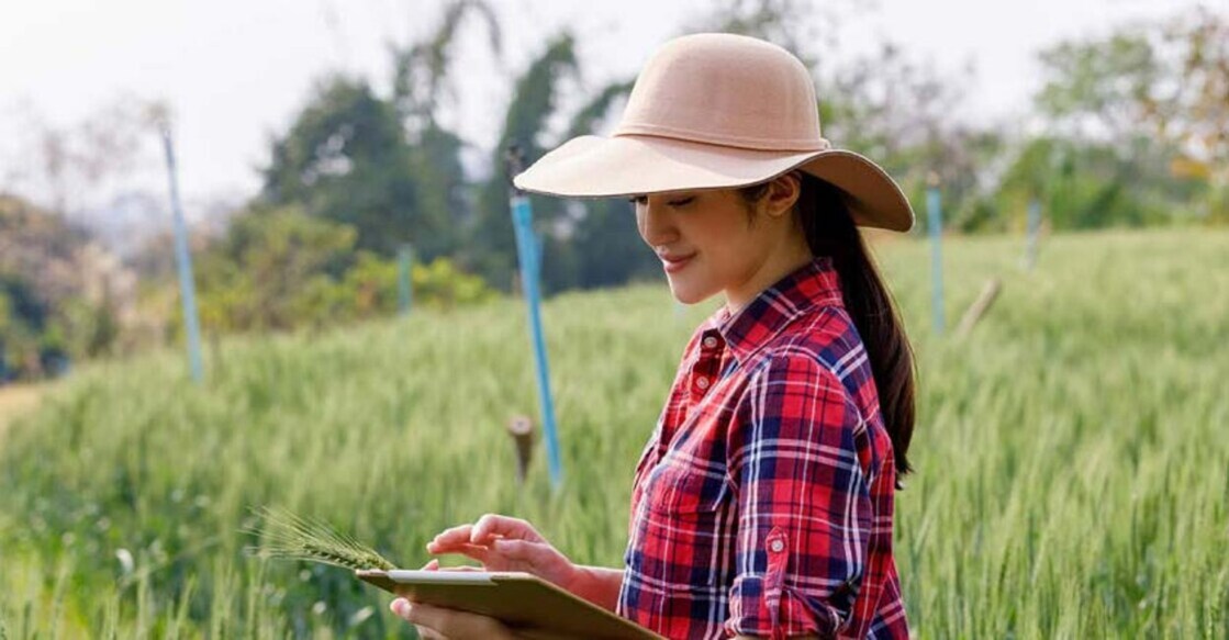 agriculture-course Representative Image. Photo Credit : MISTER DIN/Shutterstock