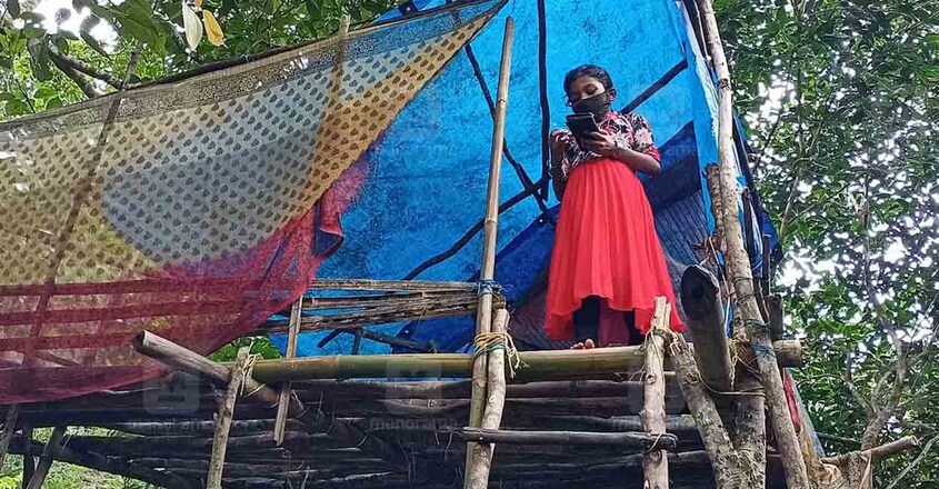 കണ്ണൂർ പന്നിയോട് ആദിവാസി കോളനിയോടു ചേർന്നുള്ള വനമേഖലയിൽ ഏറുമാടത്തില്നിന്ന് പഠനാവശ്യത്തിനു മൊബൈൽ റേഞ്ച് തേടുന്ന കുട്ടി. ചിത്രം: ധനേഷ് അശോകൻ കണ്ണൂർ പന്നിയോട് ആദിവാസി കോളനിയോടു ചേർന്നുള്ള വനമേഖലയിൽ ഏറുമാടത്തില്നിന്ന് പഠനാവശ്യത്തിനു മൊബൈൽ റേഞ്ച് തേടുന്ന കുട്ടി. ചിത്രം: ധനേഷ് അശോകൻ