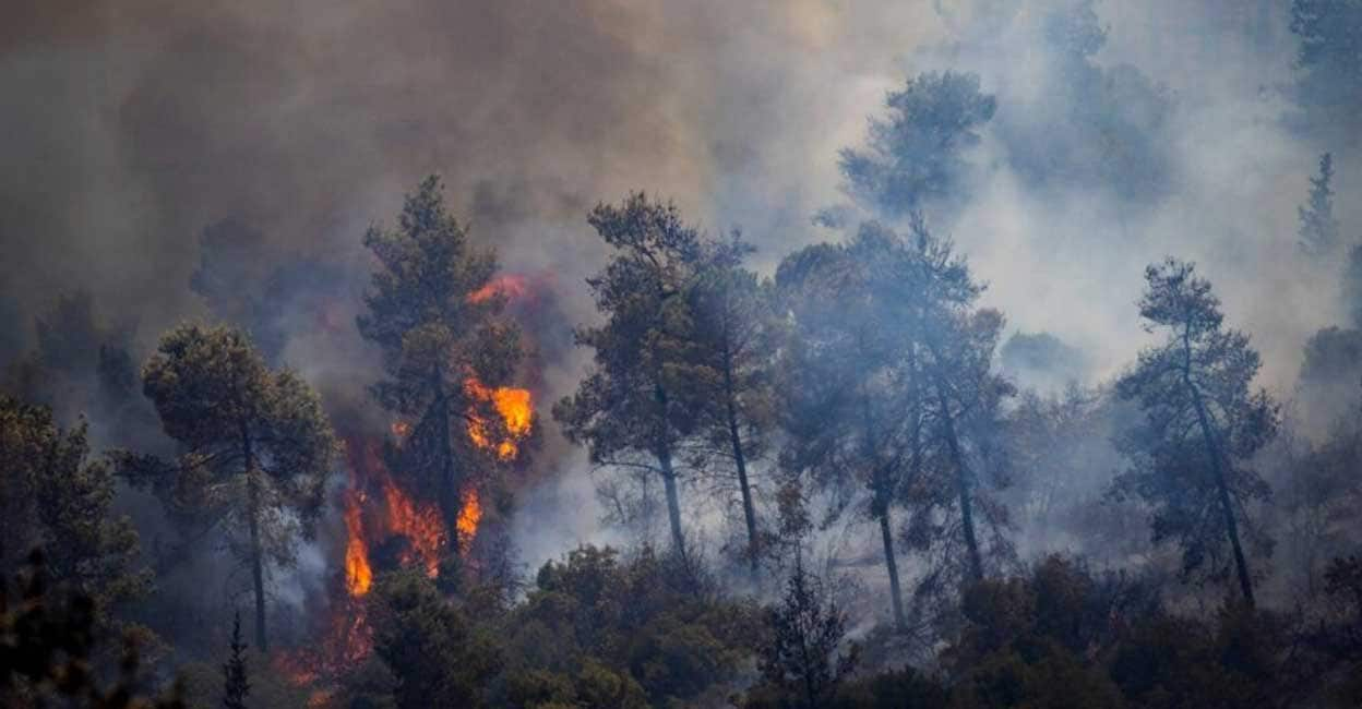 Israel and Palestine Unite in Fighting Forest Fires: A Model of ...