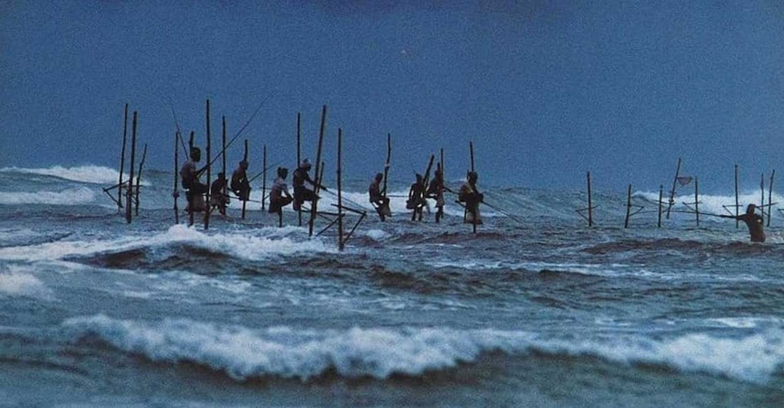 indian-ocean (Photo: X/@trixxx_vw)
