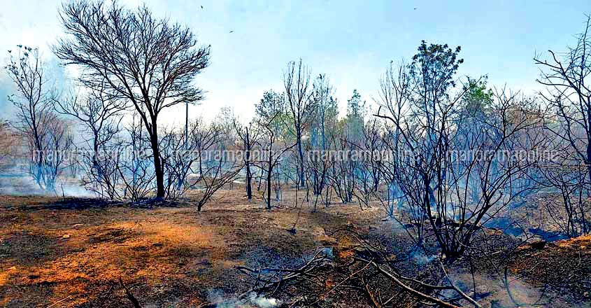 Bandipur Forest Fire Bandipur Forest Fire