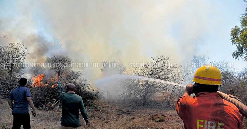 Bandipur Forest Fire Bandipur Forest Fire