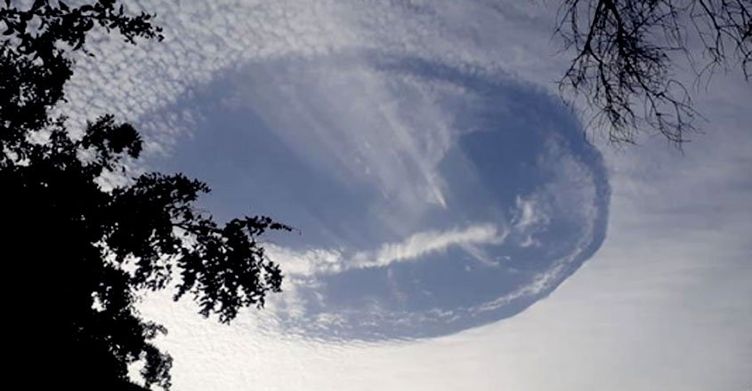 fallstreak fallstreak