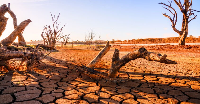 drought drought
