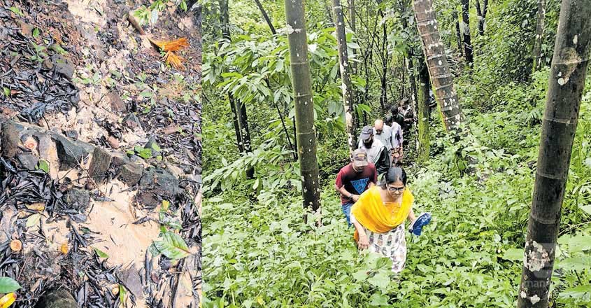 Soil Piping Phenomenon Detected At Paikkadan Mala Soil Piping Phenomenon Detected At Paikkadan Mala