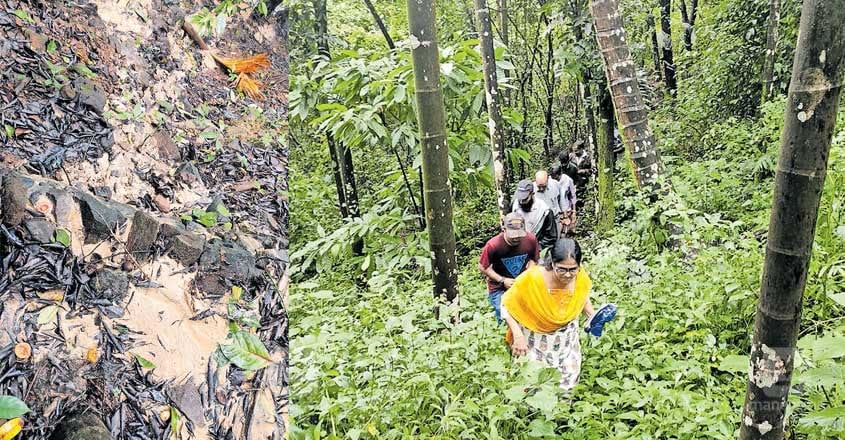 Soil Piping Phenomenon Detected At Paikkadan Mala Soil Piping Phenomenon Detected At Paikkadan Mala