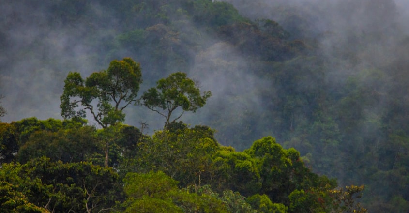 Lost City in the Honduran Rain Forest Lost City in the Honduran Rain Forest