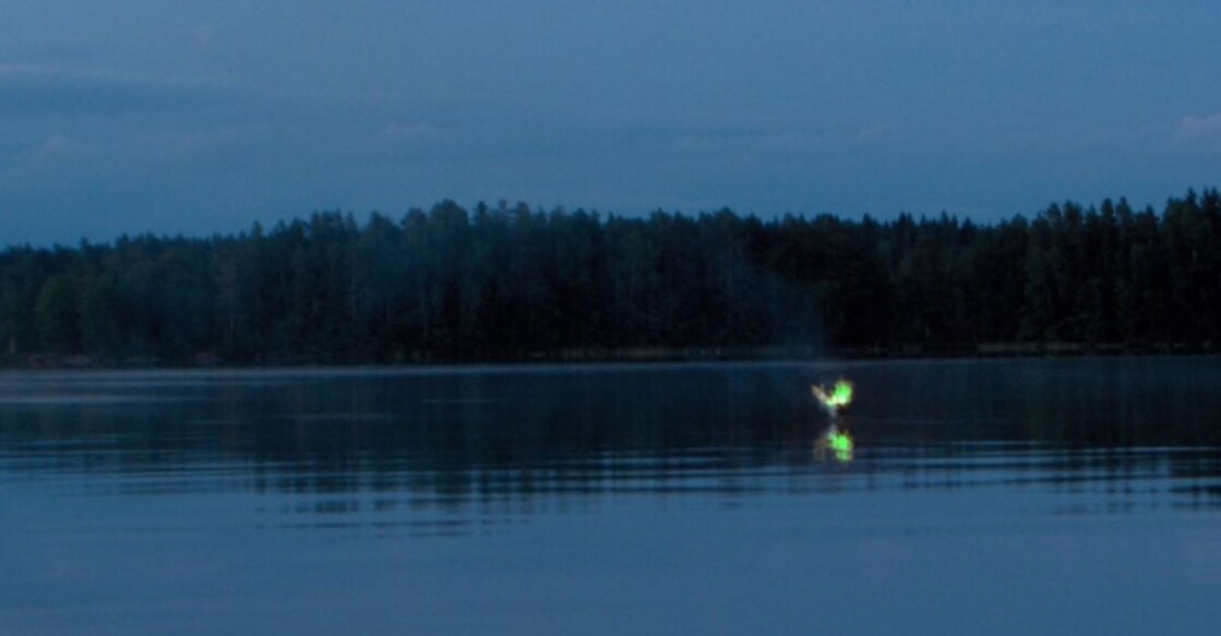 Aleya Ghost Lights In Bengal Swamps