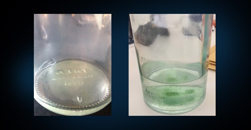 Biofilm in Glass Biofilm in Glass