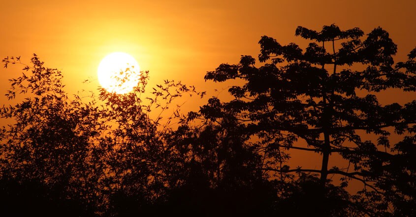 sun sun