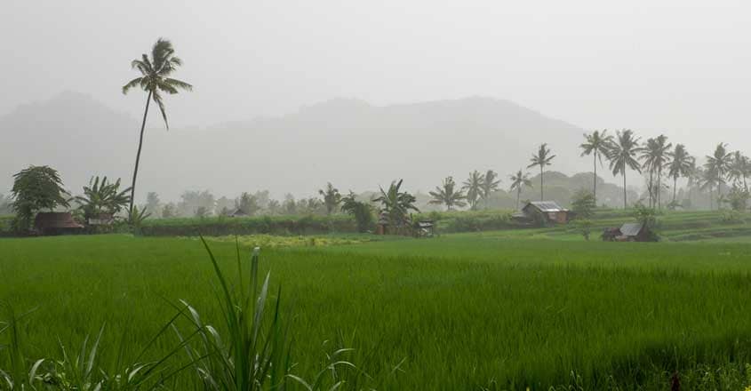 Rain Rain