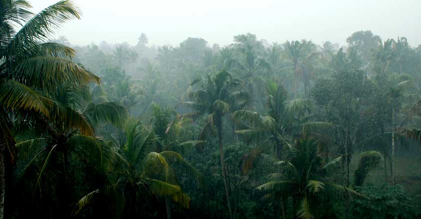 Rain Rain