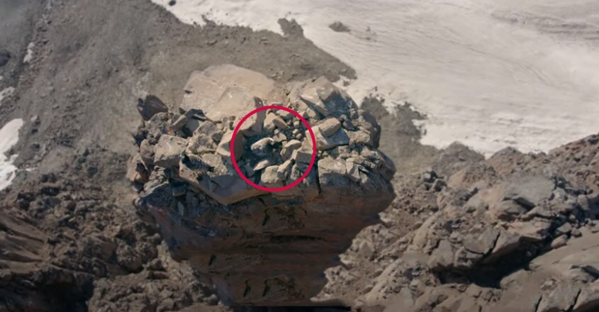Why day old geese jump off cliffs and how some survive Why day old geese jump off cliffs and how some survive