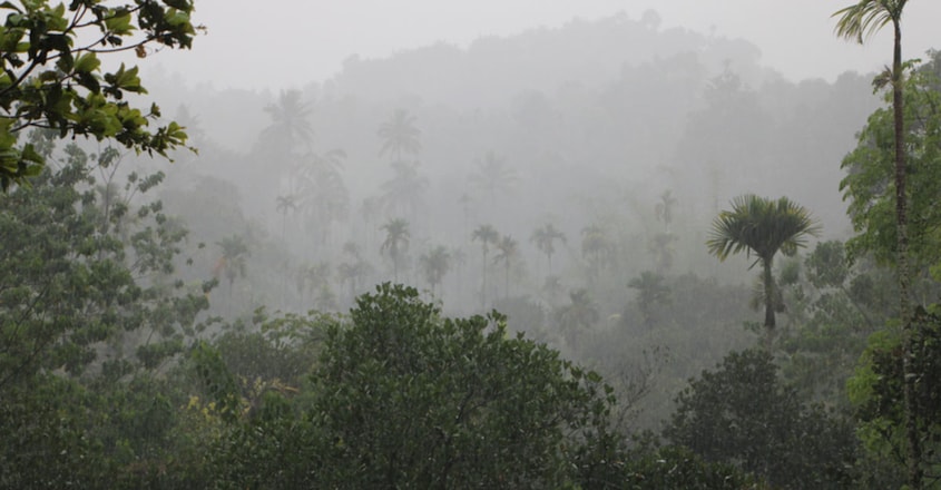 Another year of rain fury in Kerala? Another year of rain fury in Kerala?