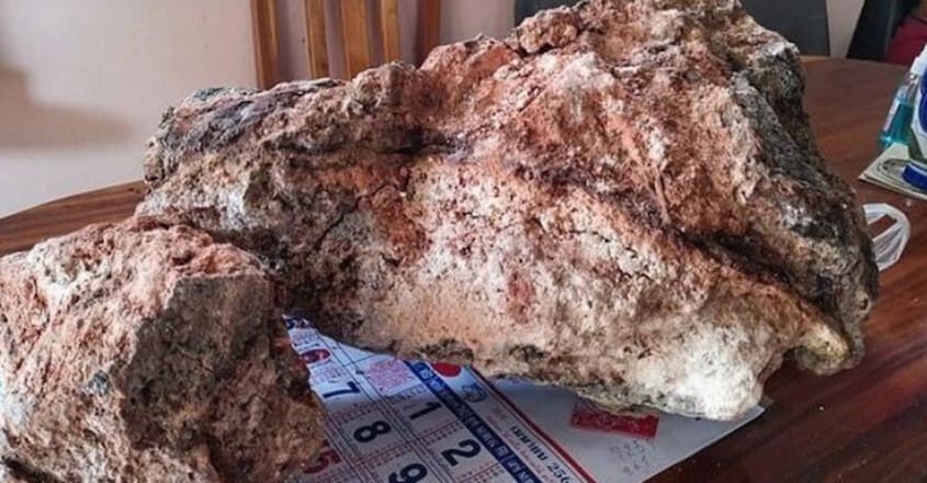 Thai Fisherman Finds 30 Kilos Of Whale Vomit Worth Almost Rs 10 Crore Thai Fisherman Finds 30 Kilos Of Whale Vomit Worth Almost Rs 10 Crore