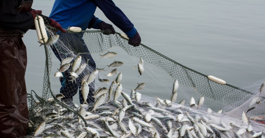 State to enforce 52-day trawling ban State to enforce 52-day trawling ban