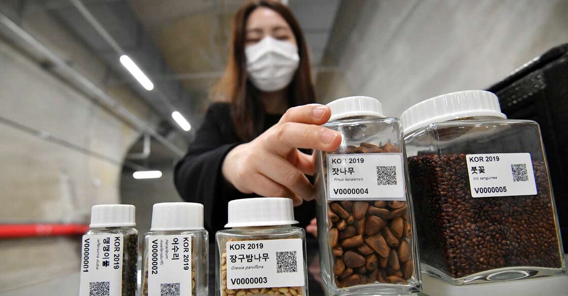 SKorea-environment-climate-plant SKorea-environment-climate-plant