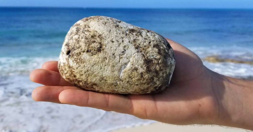 Ambergris in Reality is Whale Poop and Why it is So Valuable? Ambergris in Reality is Whale Poop and Why it is So Valuable?