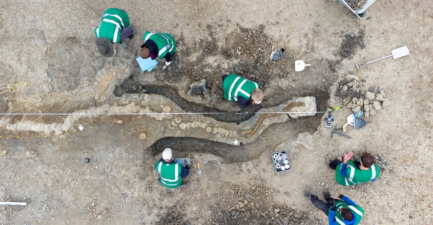Rutland ichthyosaur fossil is largest found in UK Rutland ichthyosaur fossil is largest found in UK