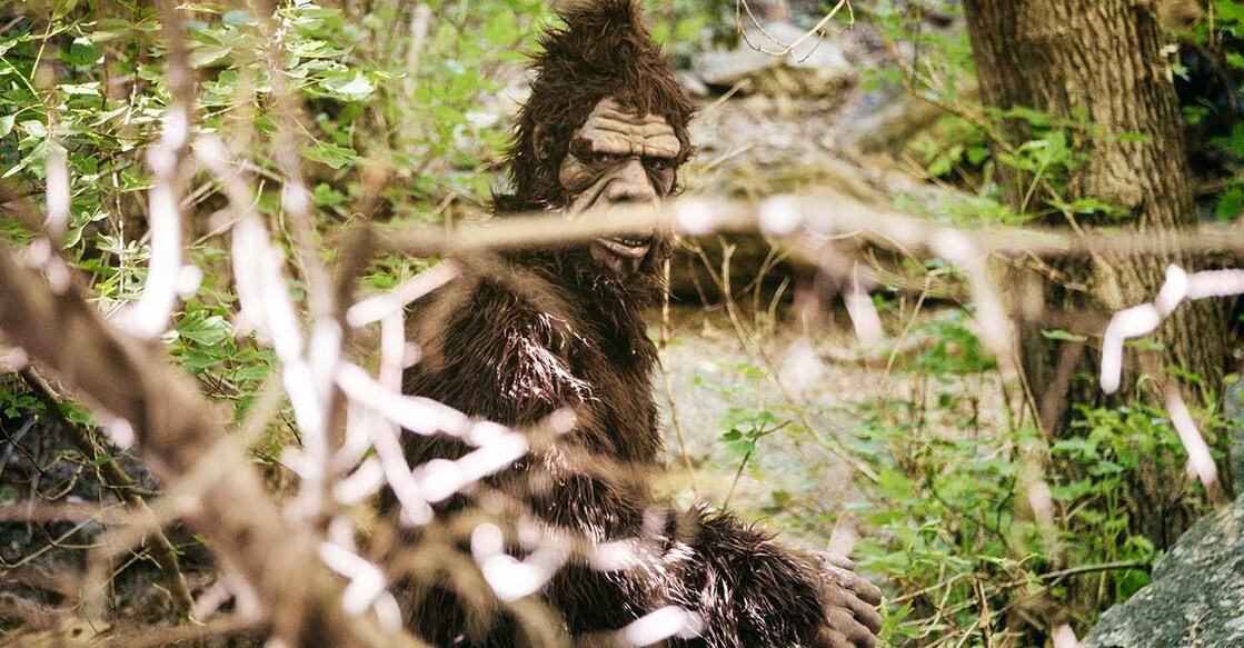 Bigfoot in Leominster State Forest? One man has been on the hunt for decades Image Credit: Rich Legg/Istock