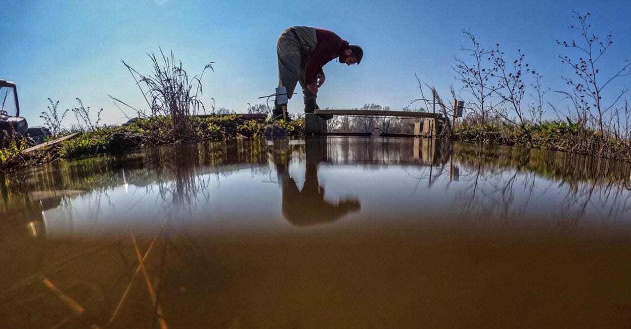 Kerala shocked when America demolishes dam;  Dead ram and salmon on the beach