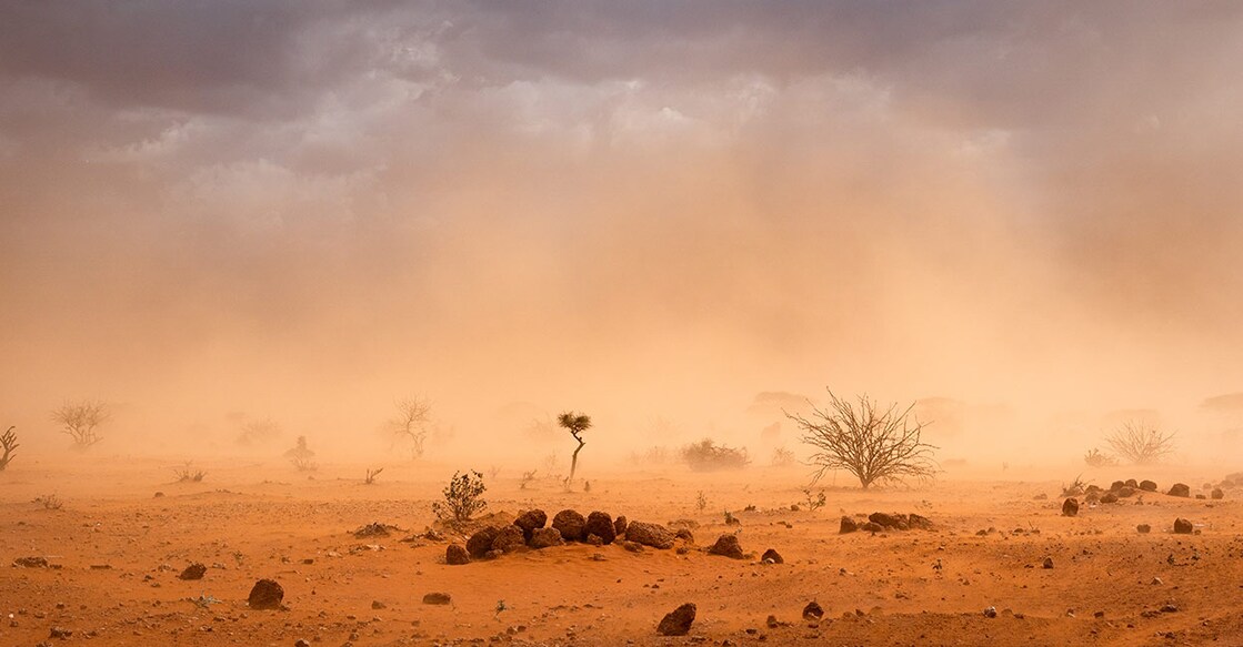 Image Credit: Jo Raphael/ Istock