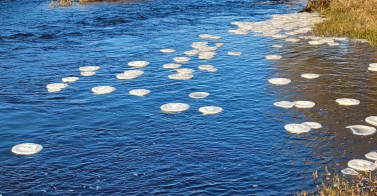 തടാകത്തിനു മുകളിൽ ഒഴുകുന്ന വമ്പൻ പൊറോട്ടകൾ! പ്രതിഭാസത്തിനു പിന്നി