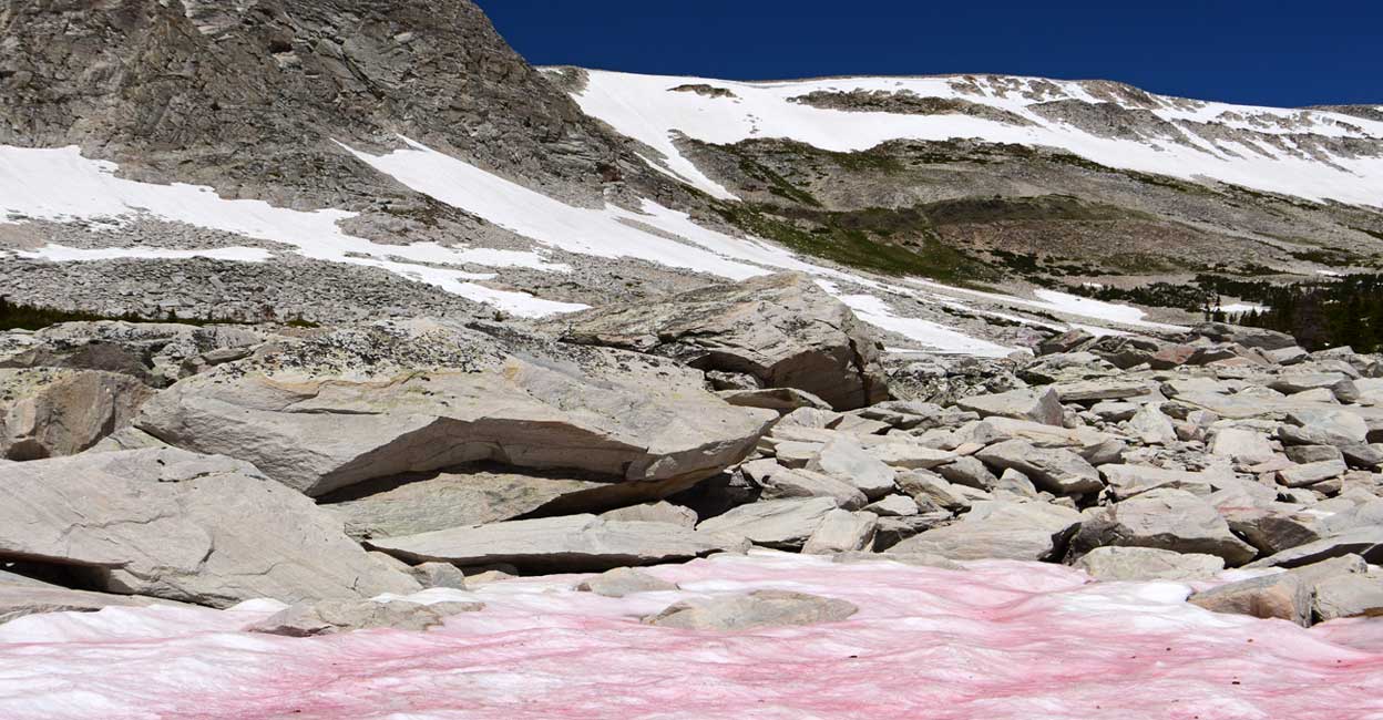 മഞ്ഞുപാളികളിലെ നിഗൂഢ നിറംമാറ്റം; നേരിടേണ്ടി വരിക ഗുരുതരമായ ...