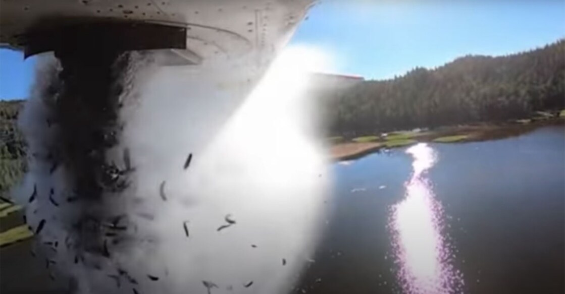 Incredible Video Shows Fish Being Dropped Into Lake During Restocking Grab Image from video shared on youtube by Storyful News & Weathe