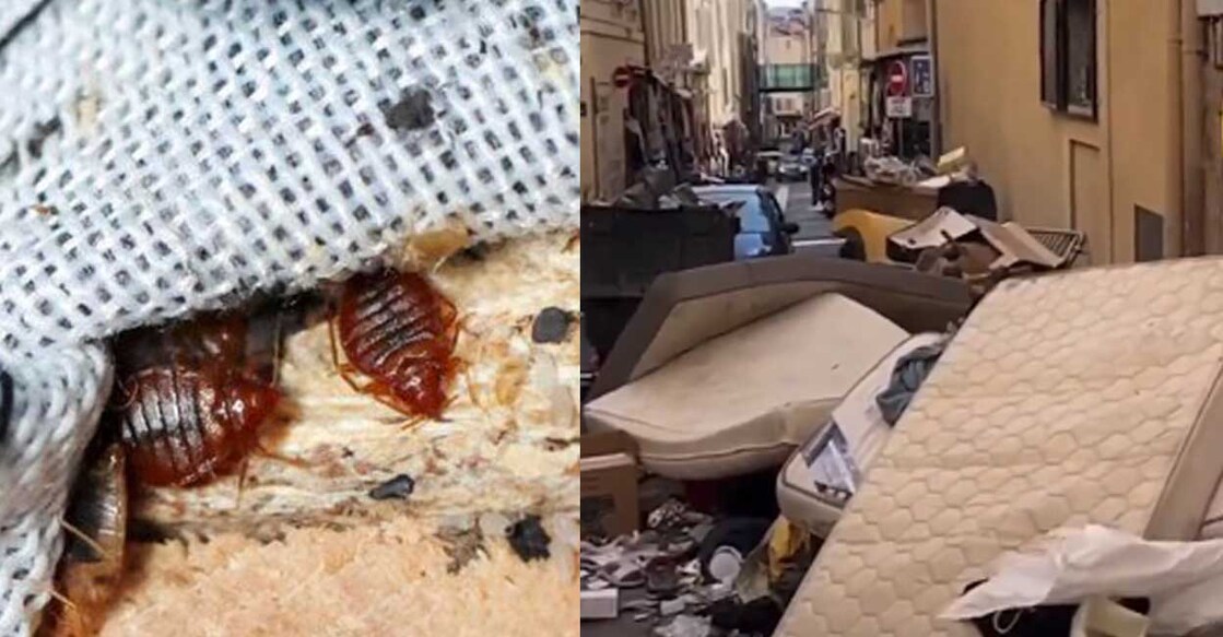 bedbugs-paris-new