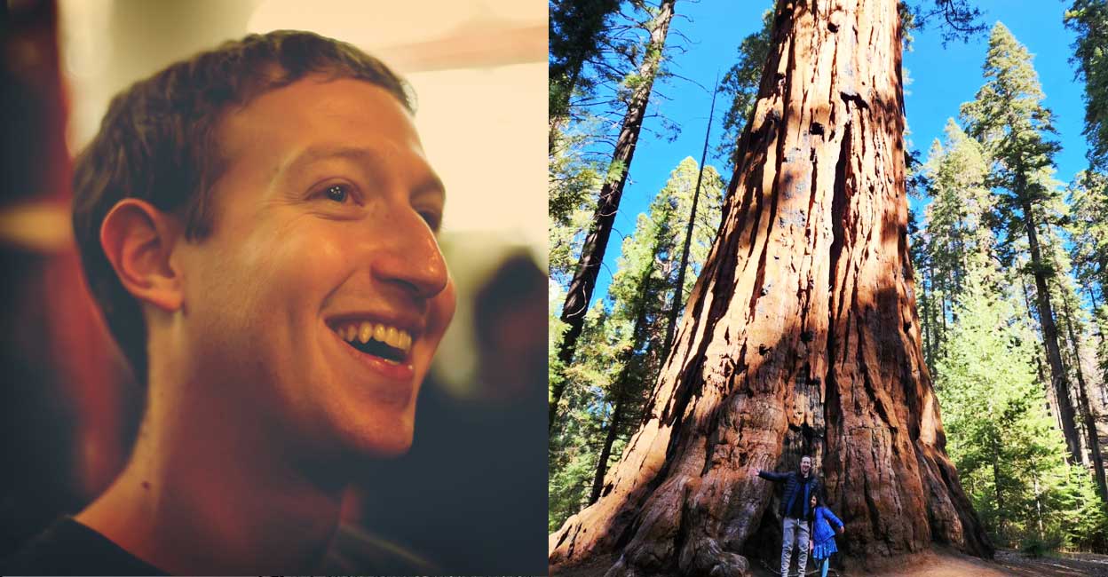 2000ത്തിലധികം വർഷം പഴക്കം; ലോകത്തെ ഏറ്റവും വലിയ മരത്തിനു മുന്നിൽ മകൾക്കൊപ്പം സക്കർബർഗ്