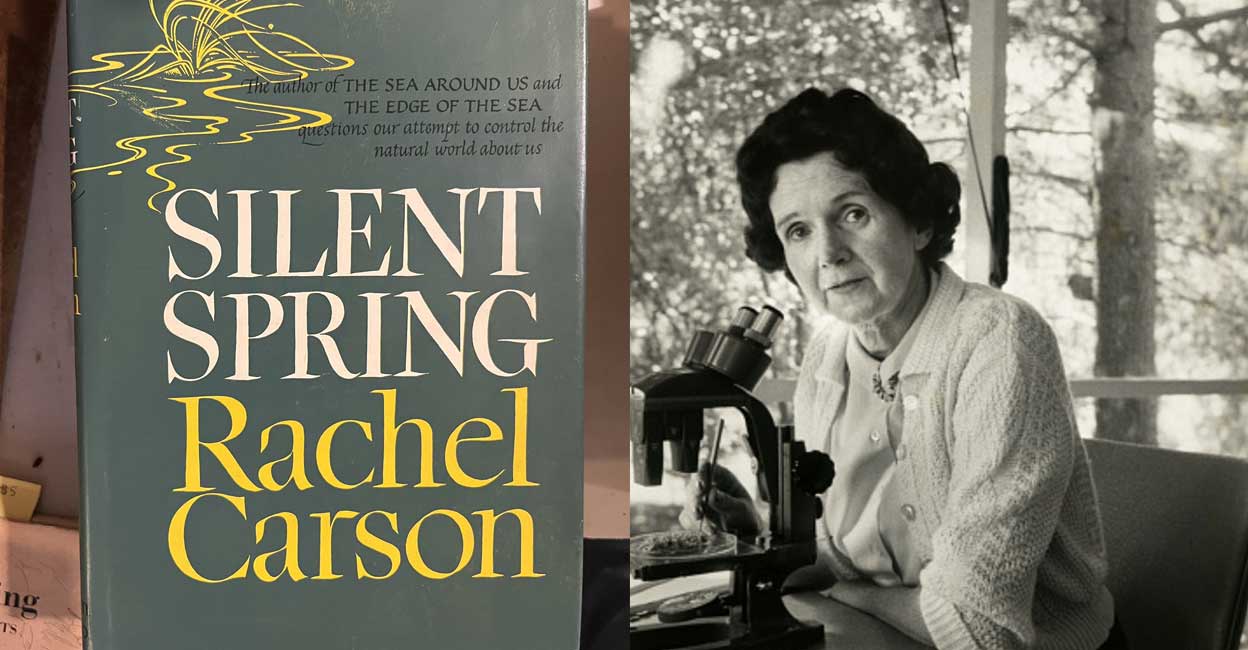 Rachel Carson The Environmental Revolution and the Book That Changed