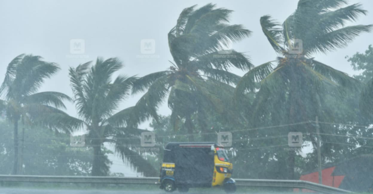 Kerala Weather Forecast: Yellow Alert Issued, Moderate Rain Expected for Next 5 Days