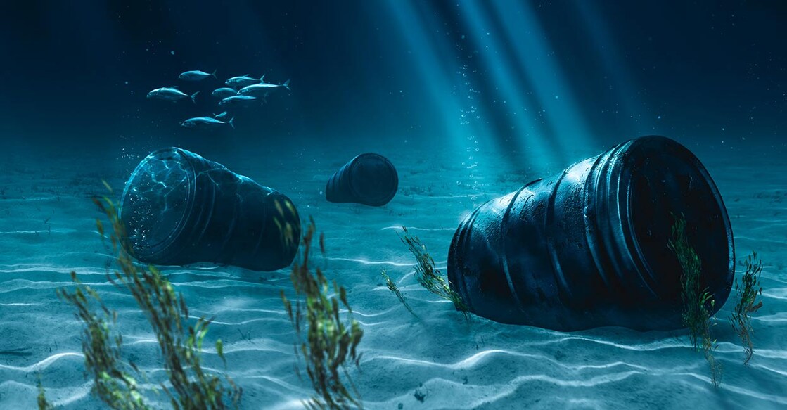 1,700 Tons Of DDT Dumped In The Ocean Isn’t Breaking Down Image Credit: Fer Gregory/ Shutterstock