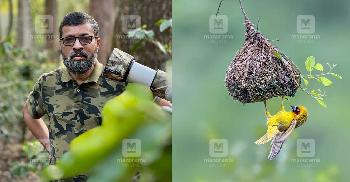 dr-suresh-photos ഡോ. സുരേഷ്, സുരേഷ് പകർത്തിയ ചിത്രം.