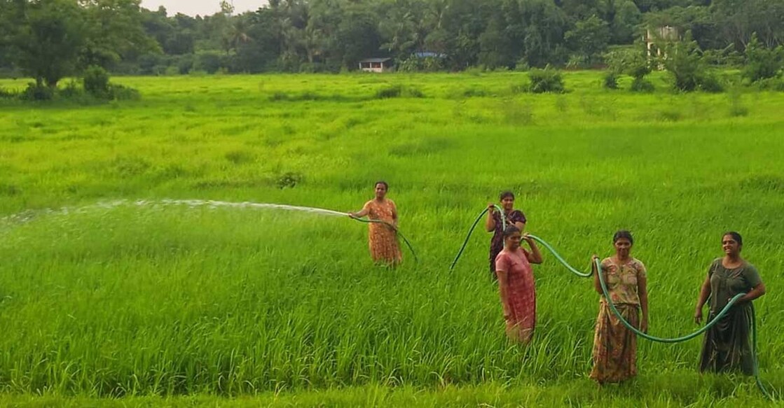 erikulam വെള്ളം പമ്പ് ചെയ്ത് വയൽ നനയ്ക്കുന്ന സ്ത്രീകൾ. എരിക്കുളത്തു നിന്നുള്ള കാഴ്ച (Photo: Facebook/Rajeevan Erikkulam)