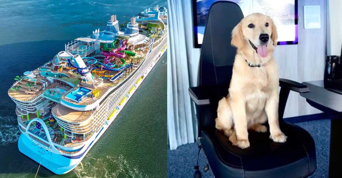ഐക്കൺ ഓഫ് ദ സീസ് (Photo: Instagram/ROYAL CARIBBEAN INTERNATIONAL/INSTAGRAM)