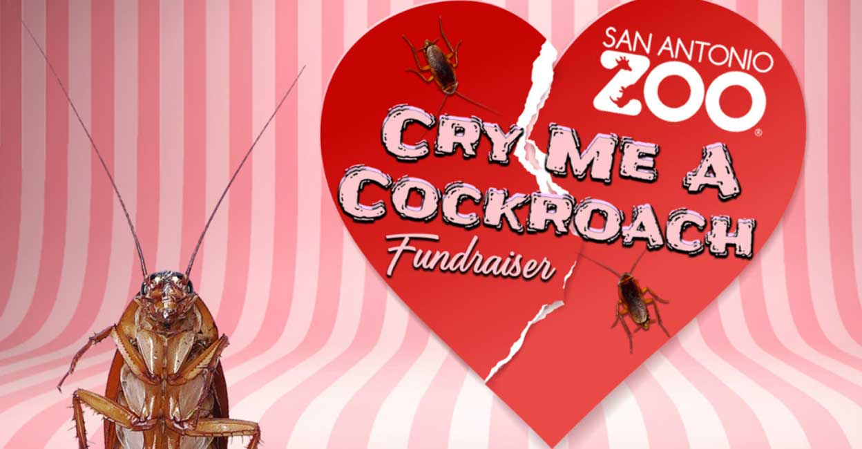 Name a Cockroach, Rat, or Veggie After Your ‘Not-So-Special’ Someone: Valentine’s Day Zoo Event