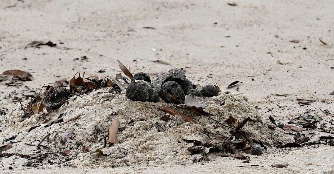 blackball-env (Photo:X/@CCTVAsiaPacific)
