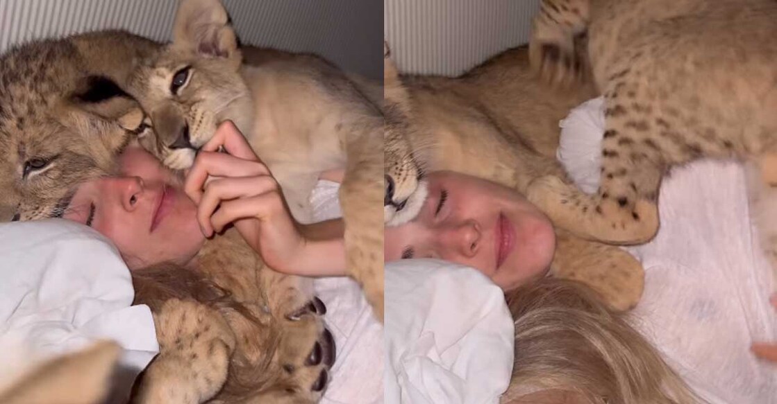 women-lion (Screengrab: Instagram/ freyaaspinall)