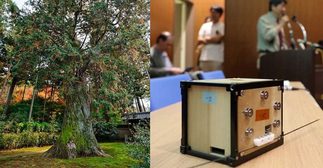 Hinoki tree, wooden satellite (Photo:X/@ParshantRajan)