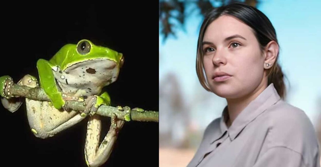 mexican-actress-frog Giant Monkey Frog, Marcela Alcazar Rodriguez (Photo:X/@MaqsoodAsi)