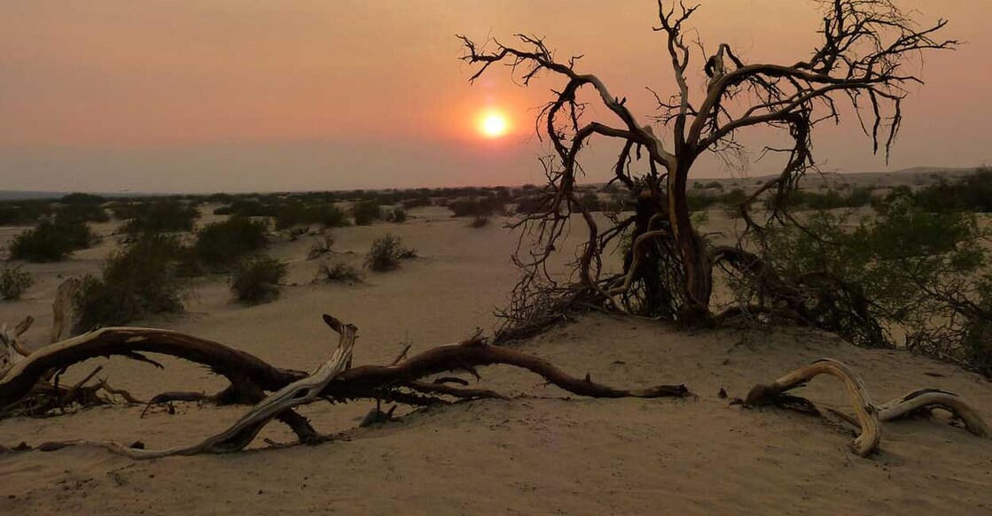 mojave-desert മൊഹാവി മരുഭൂമി (photo: X/@BestOfferZone1