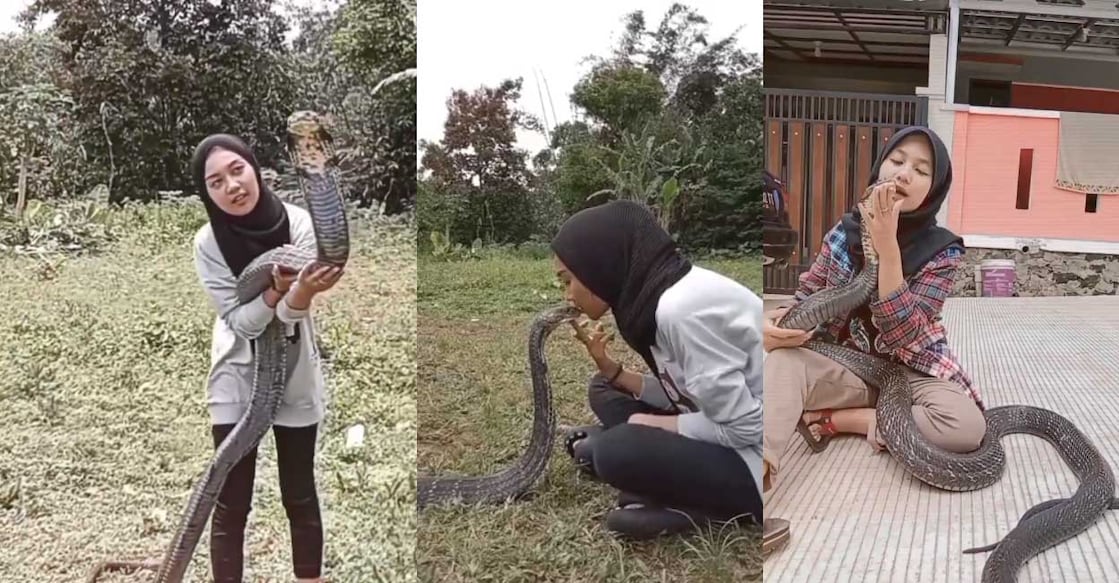 snake പാമ്പിനൊപ്പം യുവതി (Photo: X/ @TheFigen_)