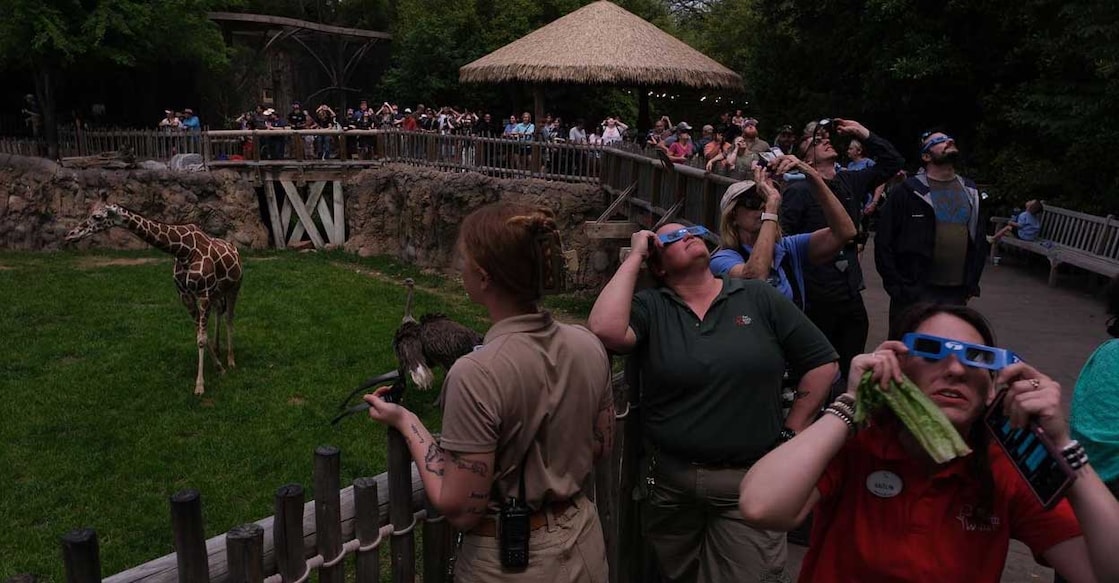 zoo The total solar eclipse from the Fort Worth Zoo. (Photo: X/@CamiloDiazJr)