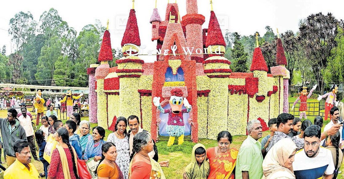 ഊട്ടി സസ്യോദ്യാനത്തിൽ ആരംഭിച്ച പുഷ്പമേളയിൽ ഡിസ്നി വേൾഡിലെ കൊട്ടാരത്തിന്റെ മാതൃക പുക്കൾകൊണ്ട് ഒരുക്കിയപ്പോൾ. ചിത്രം: മനോരമ  
