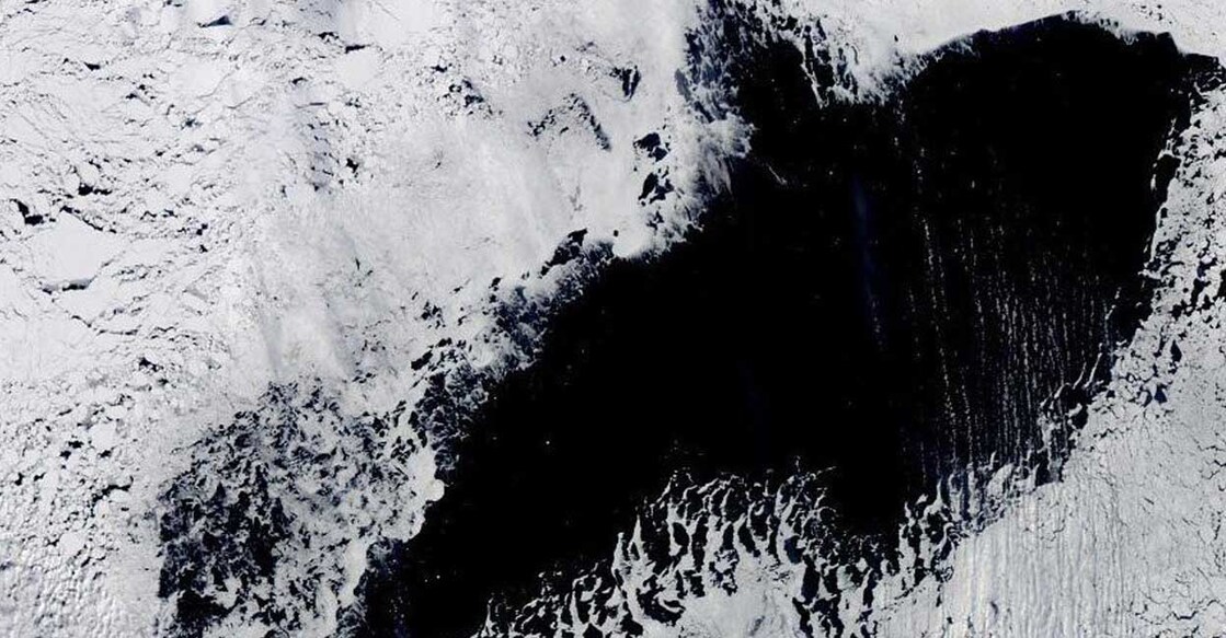 Maud Rise Polynya (Photo: X/@icey_mark)