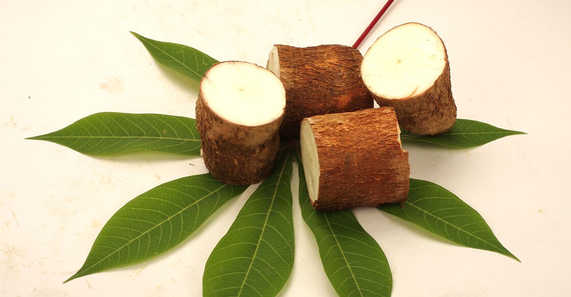 tapioca (Photo Contributor: SAM THOMAS A/ Shutterstock)