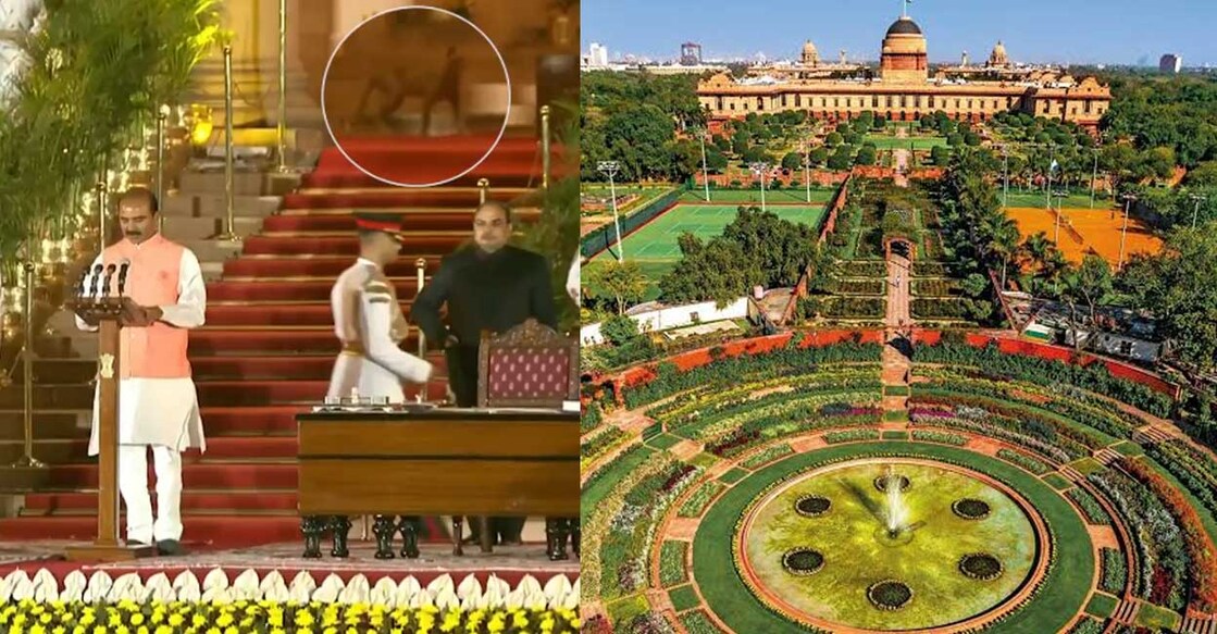 rashtrapathi-bhavan-cat സത്യപ്രതിജ്ഞ ചടങ്ങിനിടെ വേദിയിലെത്തിയ പൂച്ച വൃത്തത്തിൽ, രാഷ്ട്രപതി ഭവൻ (Photo:X/ @rajubusa)