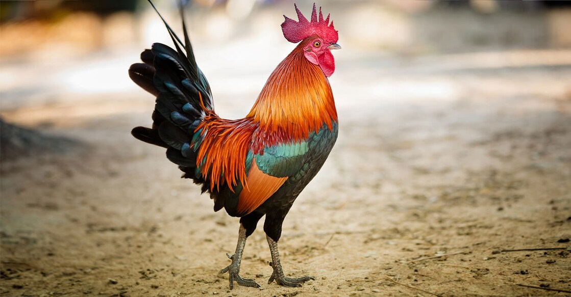 (Credit:FredFroese/ Istock)